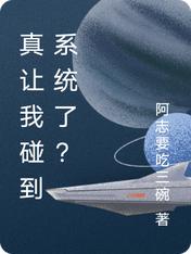 真让我碰到系统了？